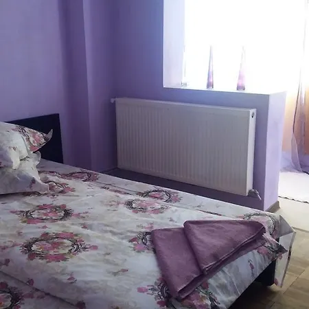 Apartment Apartament Valcea